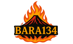 BARA134